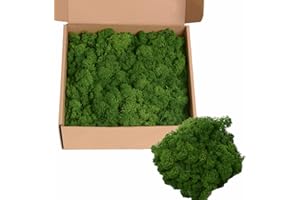AMOUETERNO 14OZ Preserved Moss Colored Moss for Moss Wall Art, Moss Crafts, Moss for Potted Plants, DIY Home Office Artistic Decoration