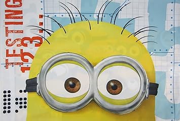 Amazon Com Minions Test 123 Despicable Me Reversible Pillowcase