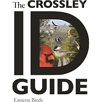 Amazon.com: The Crossley ID Guide: Eastern Birds (The Crossley ID ...