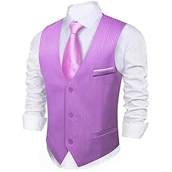 Barry.Wang Mens Purple Formal Vest Striped Casual