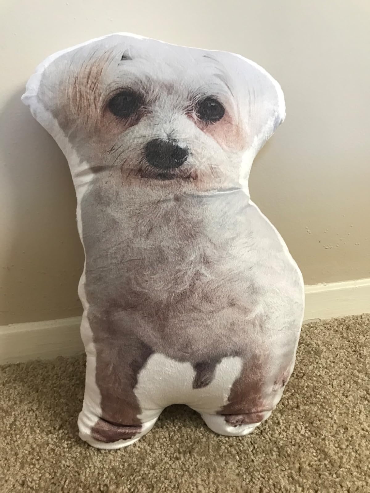User review photo