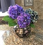 Review Image by Condo Life Condo Life