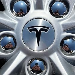 Logo Decal Wrap for Tesla Model S, Nosecone, 14-pc