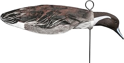 Amazon Com Deadly Decoy Feeder Head Pintail Duck Decoy