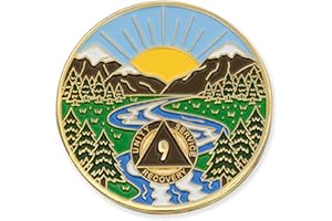 9 Year Sobriety Mint Winding River Gold Plated AA Recovery Medallion/Chip/Token