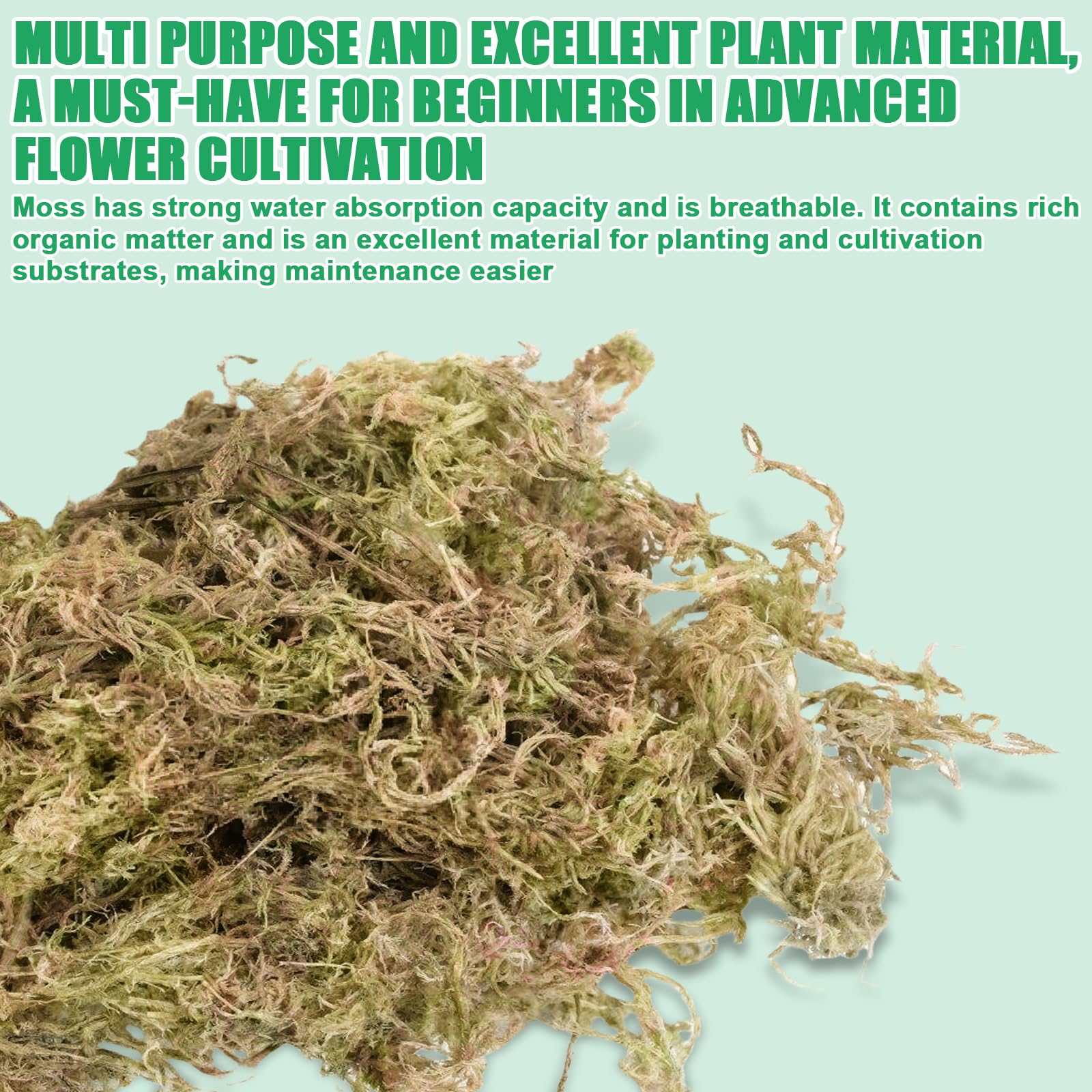 500g Sphagnum Moos, Orchideen Terrarium Blumenerde, Reptile Natürliches Sphagnum Deko, Zimmerpflanzen Feuchtigkeitsspendende Ernährung Organisches Torfmoos für Orchideen und Bonsai Reptilie (1) 3