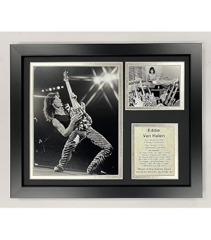 EDDIE VAN HALEN　置物　額　ピック　アート　インテリア　オブジェ Amazon.com: RJETZMU Eddie Van Halen Poster Canvas Art Posters For