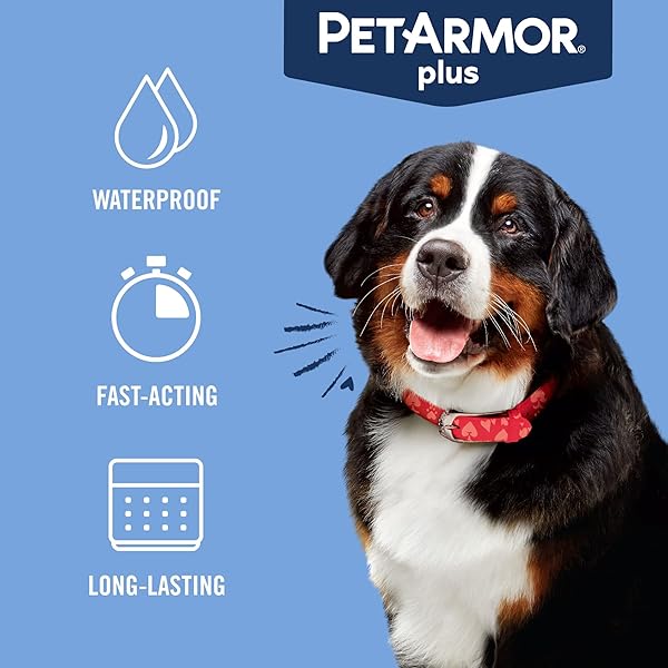 PETARMOR PLUS FLEA AND TICK PREVENTION FOR DOGS, DOG FLEA AND TICK TREATMENT, 1 DOSE, WATERPROOF TOPICAL, FAST ACTING, X-LARGE DOGS (89-132 LBS)