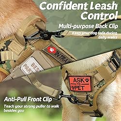 rabbitgoo Tactical Dog Harness for Large