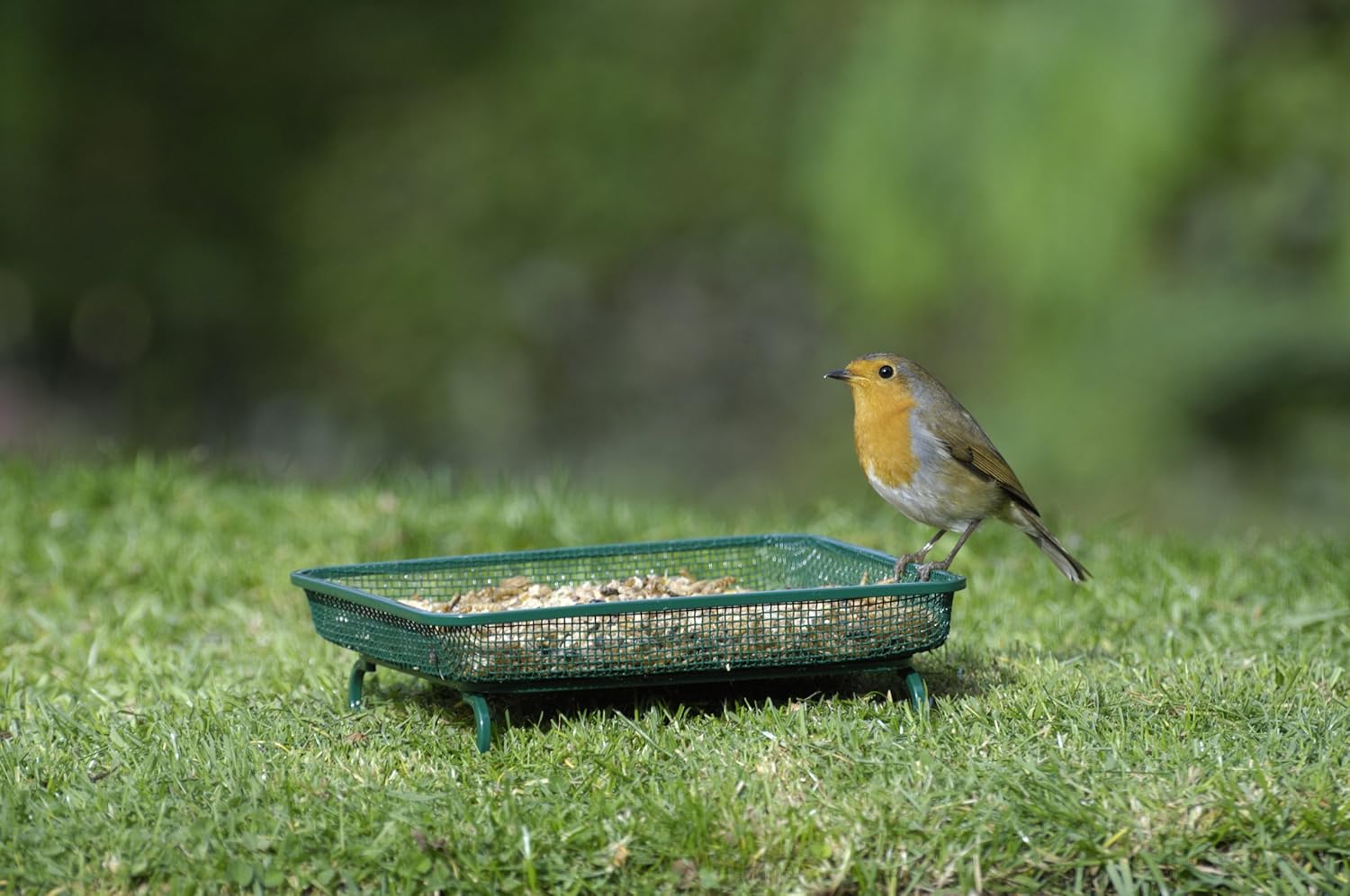 Rspb Mesh Ground Feeder Amazon Co Uk Garden Outdoors