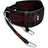THEFITGUY Original Dip Belt with Strap for Dips, Pull-Ups, Squat Attachment | 45&deg; D-rings for natural weight positioning, lumbar support, 40in strap, 2 hooks, supports up to 250lb