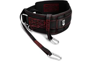 THEFITGUY Ultimate Dip Belt | Secure Closure - No Sliding Down | Structured Back Support | 45-Angle Rings - Comfort Dip Posit