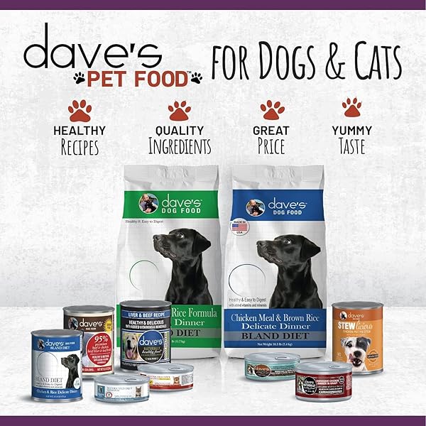 DAVE’S PET FOOD GRAIN FREE WET CANNED CAT FOOD (TURKEY), MADE IN USA NATURALLY HEALTHY, ADDED VITAMINS & MINERALS, GLUTEN-FREE, 12.5 OZ CANS