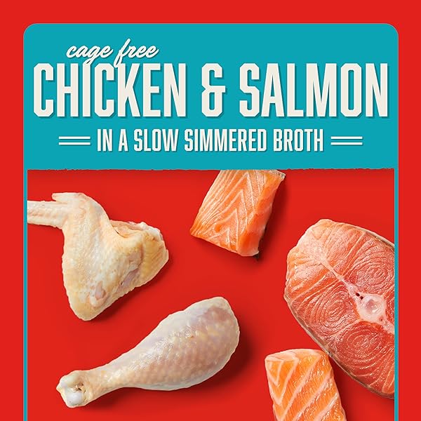 STELLA & CHEWY’S CAGE FREE CHICKEN & SALMON SHREDRS – PREMIUM DOG FOOD POUCHES – FREEZE DRIED RAW NUTRITION IN BROTH – PERFECT FOR PICKY EATERS- 12 PACK, 2.8OZ EACH