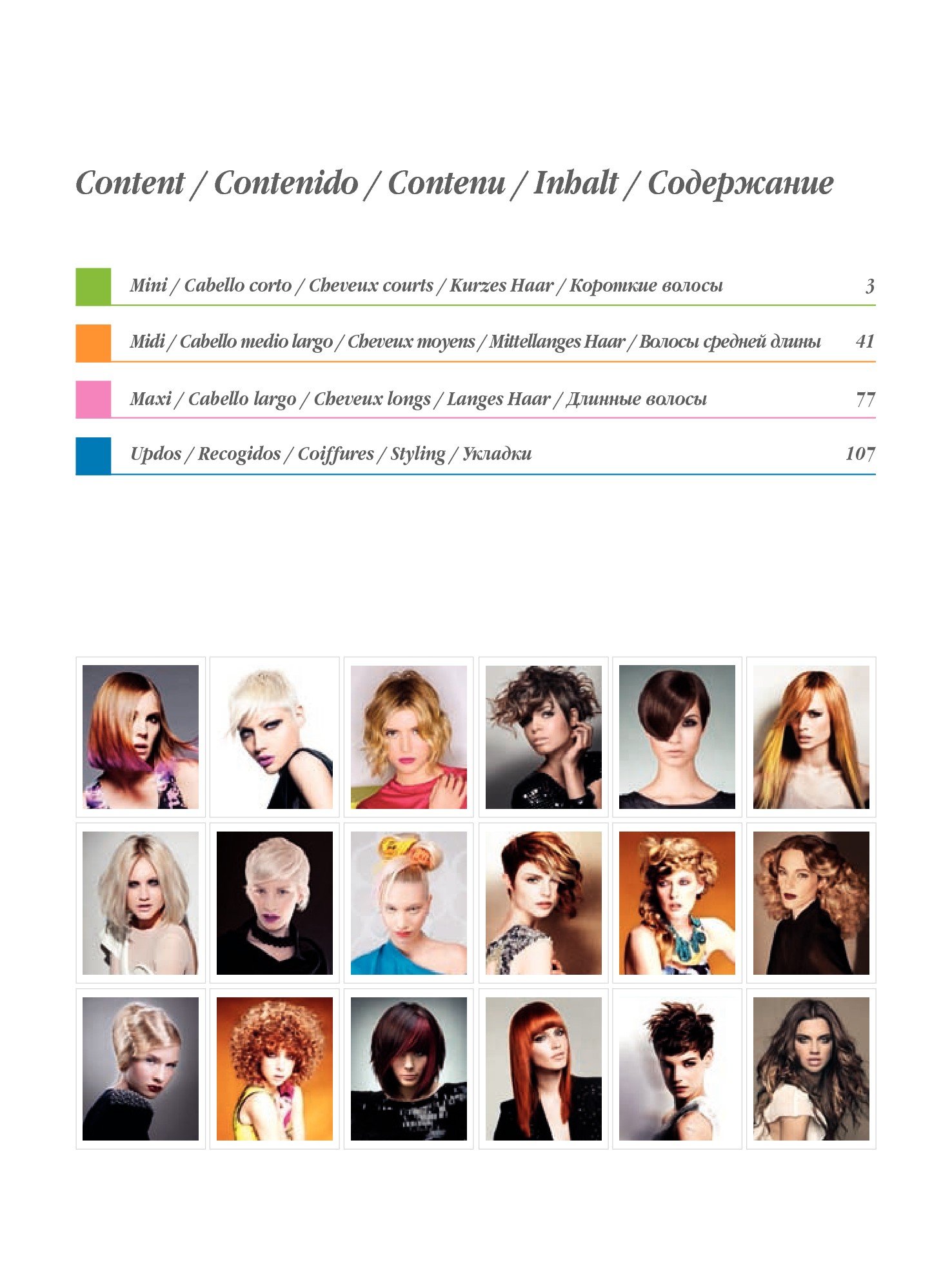 Hairs How Vol 15 1000 Hairstyles Hairstyling Book