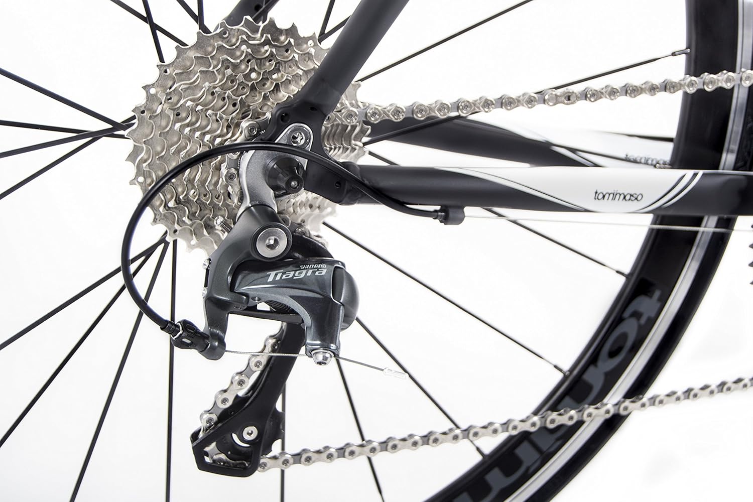 tommaso monza endurance