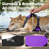 PoyPet No Pull Dog Harness Reflective Vest with 2 Leash Attachments (Purple, S) view 7