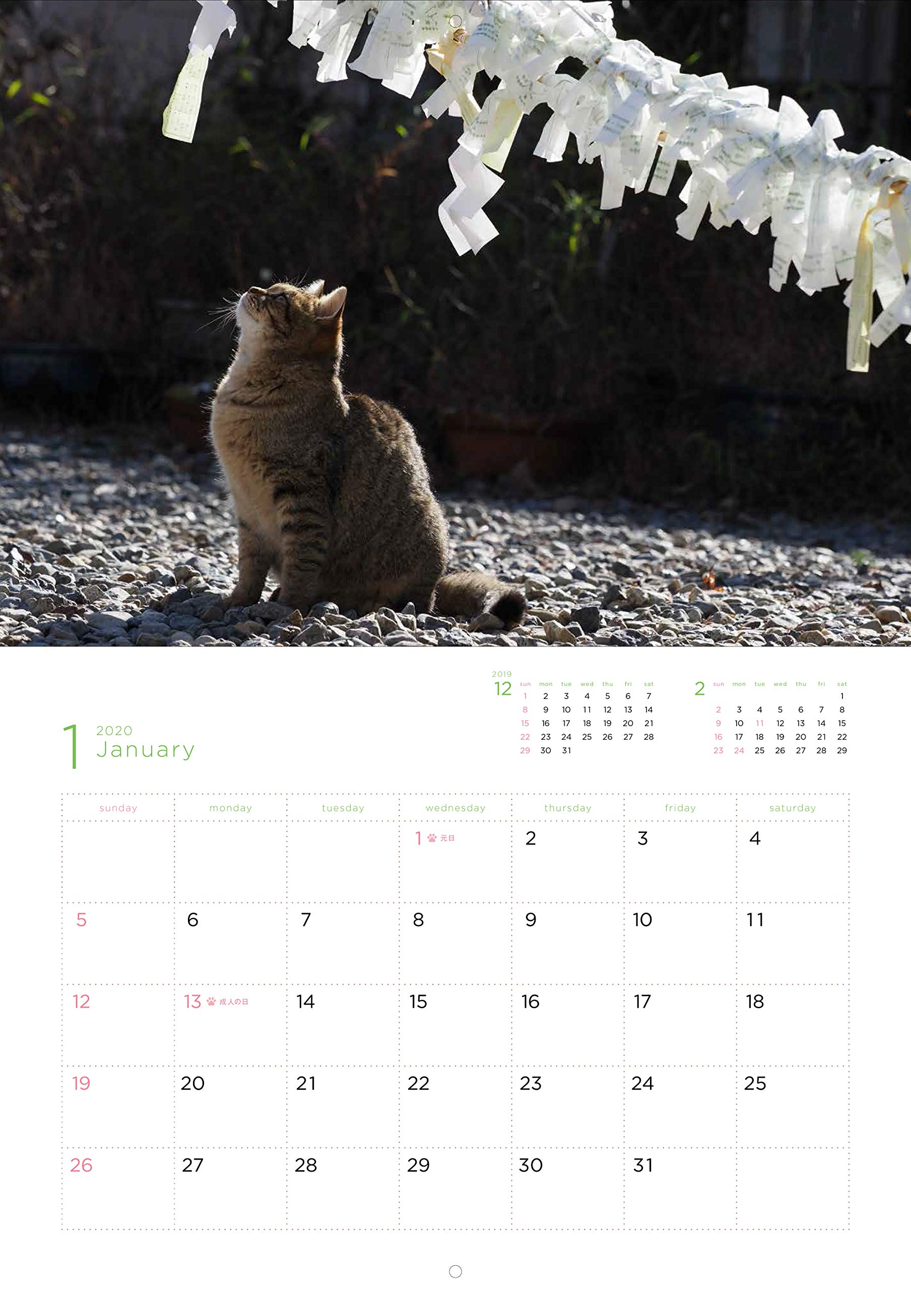 Amazon Co Jp 岩合光昭福ねこカレンダー カレンダー 岩合 光昭 本