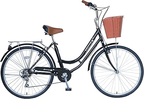 womens dutch style bike