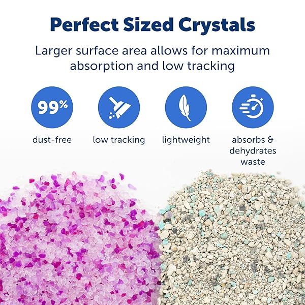 PETSAFE SCOOPFREE ODOR CONTROL CRYSTAL CAT LITTER, LAVENDER, SCENT 4.3 LB BAG, PACK OF 2