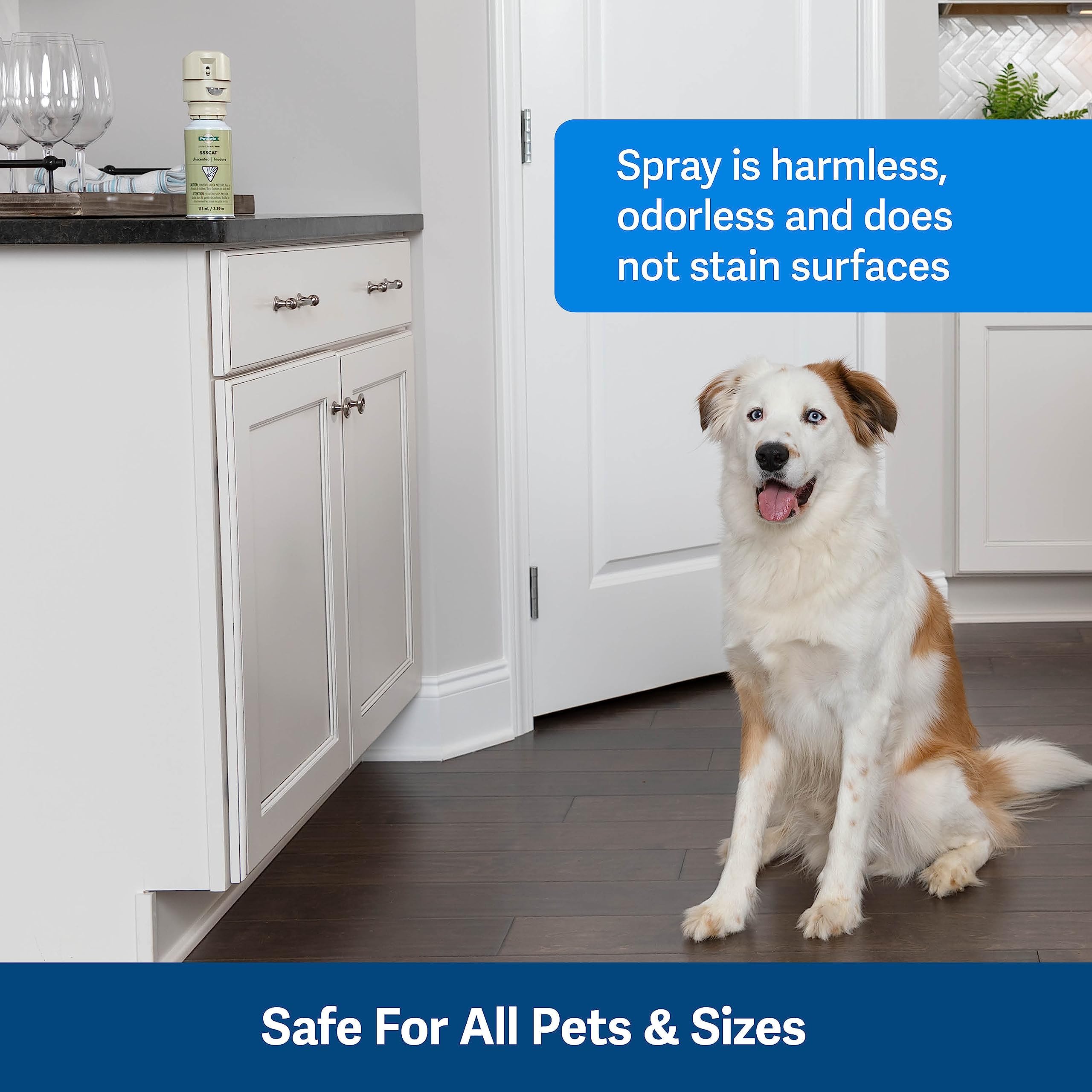 PetSafe SSSCAT Spray Replacement Can Only Use with SSSCAT Spray, Dog and Cat Deterrent System - Keeps Areas Pet Proof Environmentally Friendly Training Repellent - Protect Your Pets and Furniture