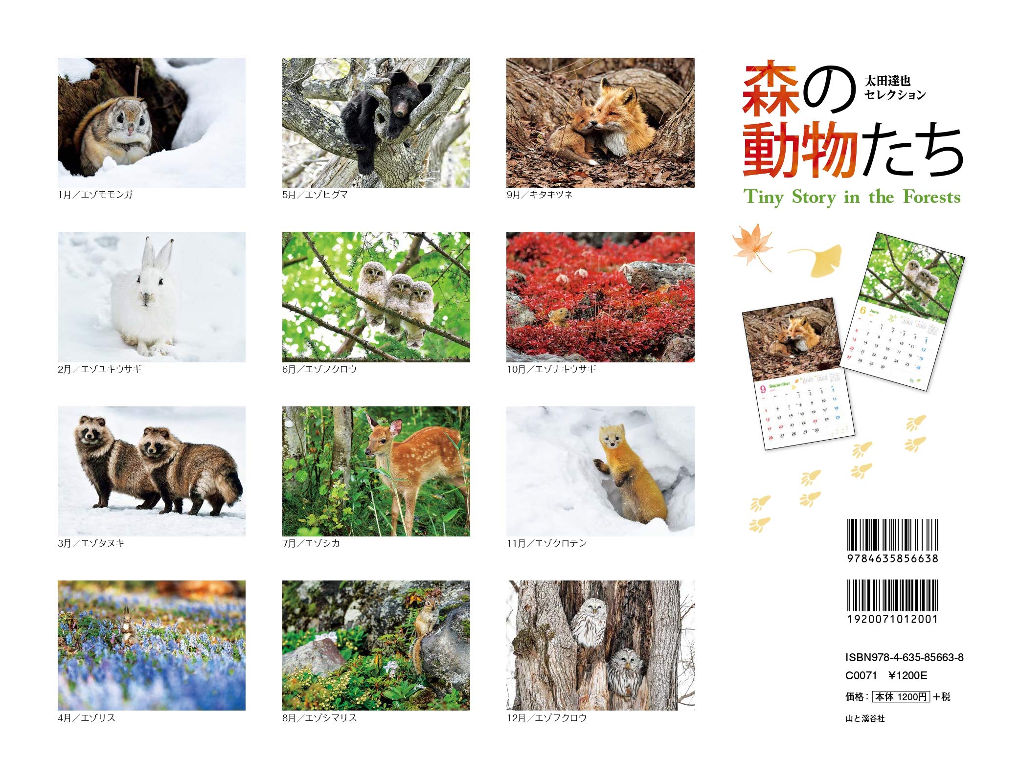 カレンダー21 太田達也セレクション 森の動物たち Tiny Story In The Forests 月めくり 壁掛け ヤマケイカレンダー21 太田 達也 本 通販 Amazon