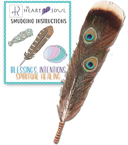 Pluma, Pavo Y Pavo Real, Limpieza U00fanica De Energu00eda Casera