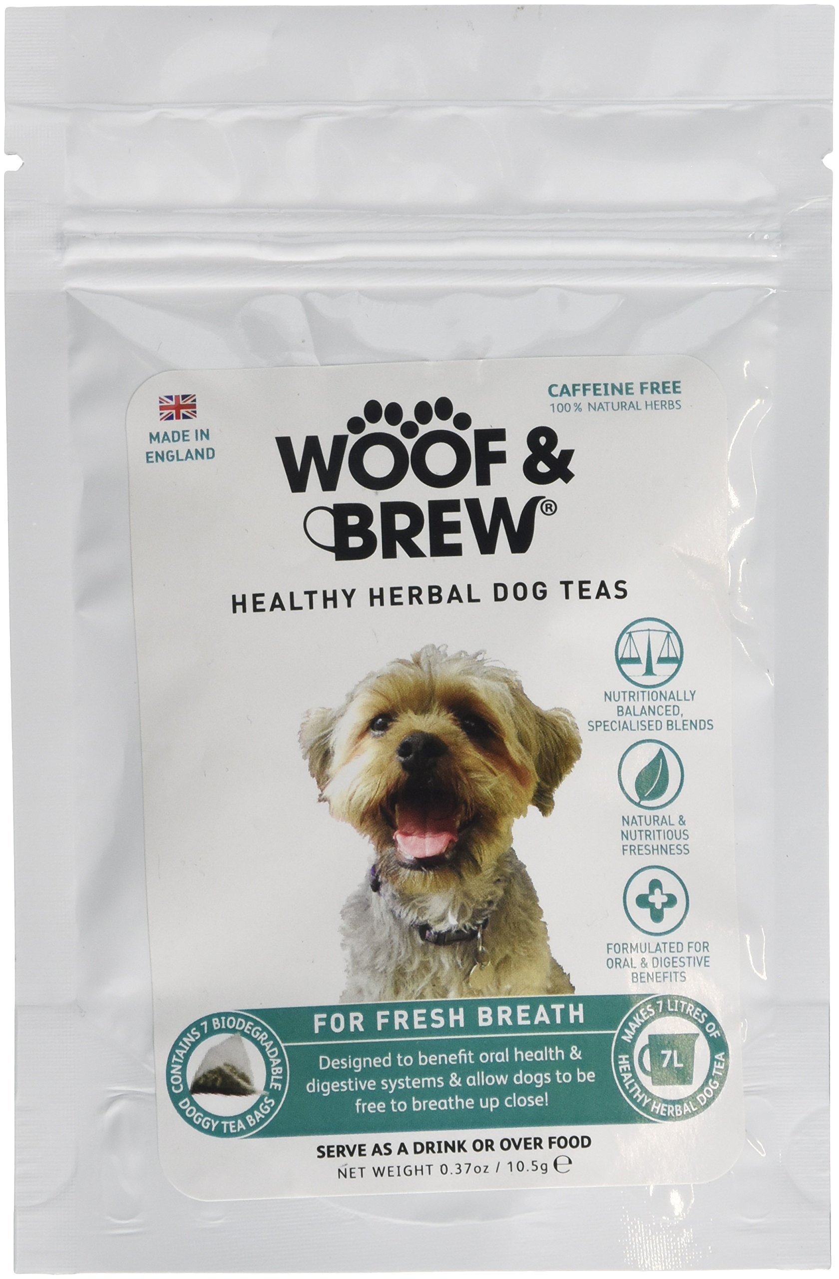 Can Dogs Have Herbal Tea