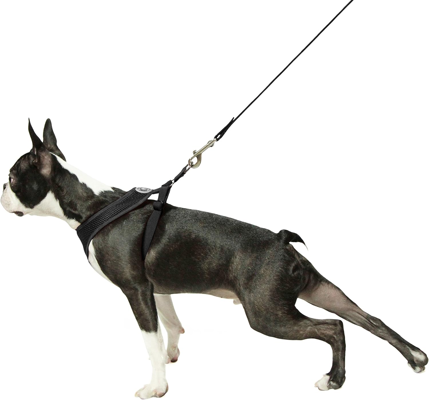 freedom harness sizing