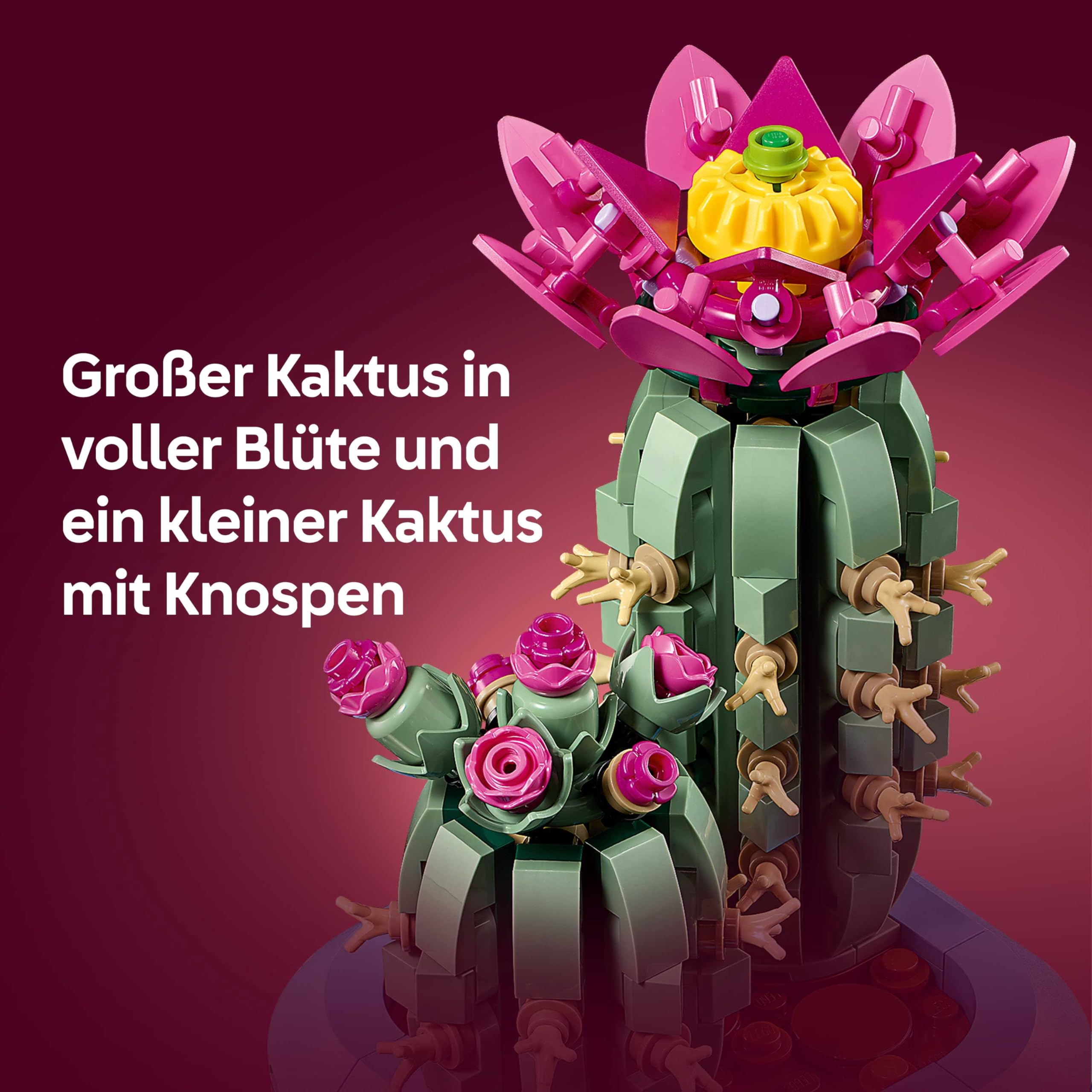 LEGO Botanicals Blühender Kaktus - Set mit Kunstpflanze mit 2 Kakteen & künstlichen Blüten - DIY Deko - Geschenkidee zum Geburtstag für Mädchen ab 9 Jahren & Erwachsene Pflanzenliebhaber - 11509 4