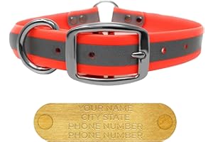 Regal Dog Products Medium Orange Reflective Dog Collar with Custom Engraved Name Plate and Heavy Duty Center Ring | Waterproo