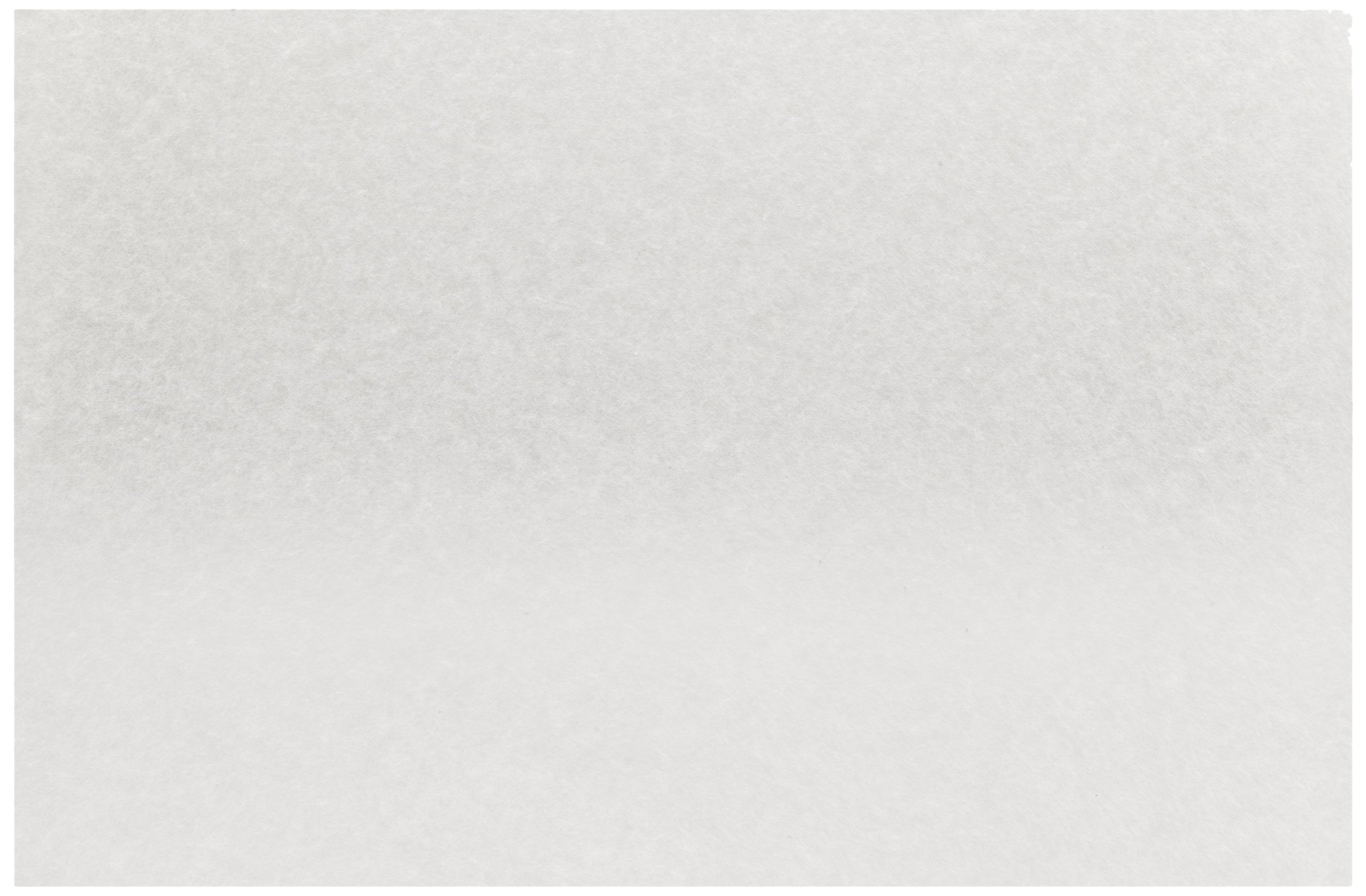 Whatman 2105-862 Lens Cleaning Tissue, Grade 105 Sheets, 300mm Length x 200mm Width (Pack of 100)