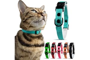 OutdoorBengal Blue Cat Collar Breakaway with Soft Padding for Medium to Large Cats - Durable Heavy Duty Tactical Fabric, Comfortable, Quick Release Breakaway Cat Collars, No Bell Collar (Blue, Adult)