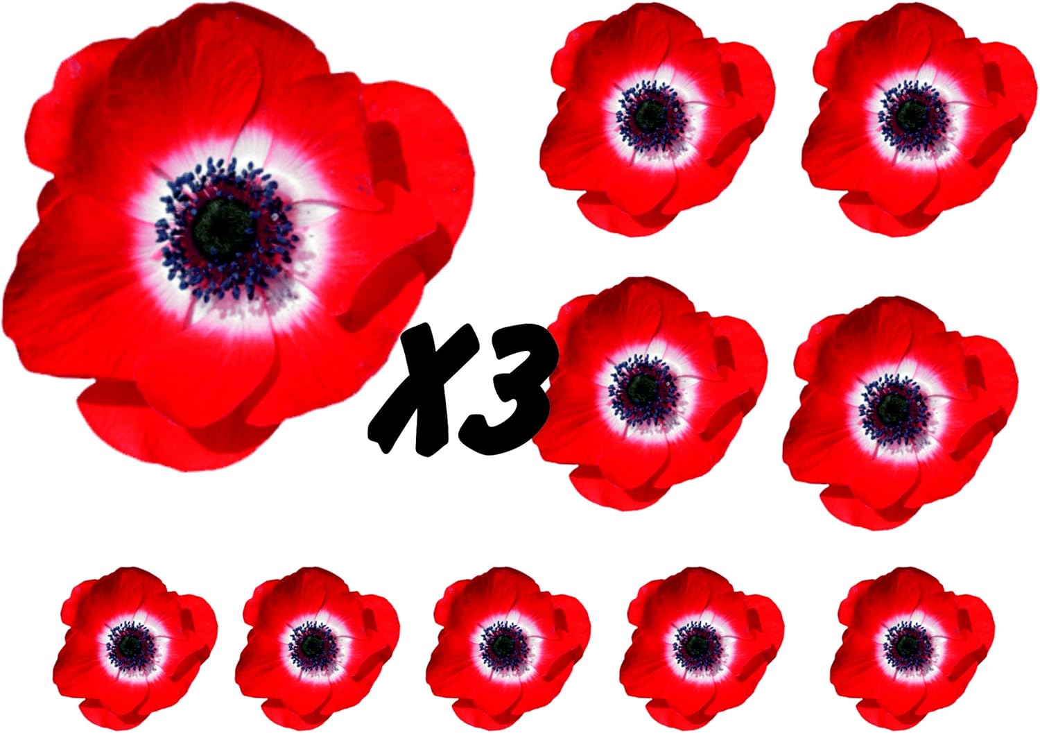 Poppies Flower Decals Car Stickers Graphics Nursery Wall Window