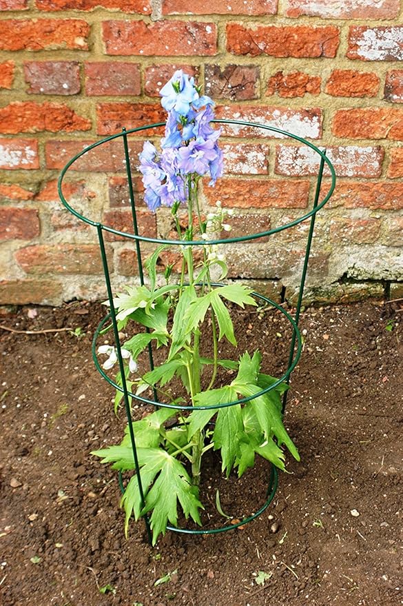 ARSUK Jaula de Anillo de Soporte Marco de la Frontera de la Flor ...