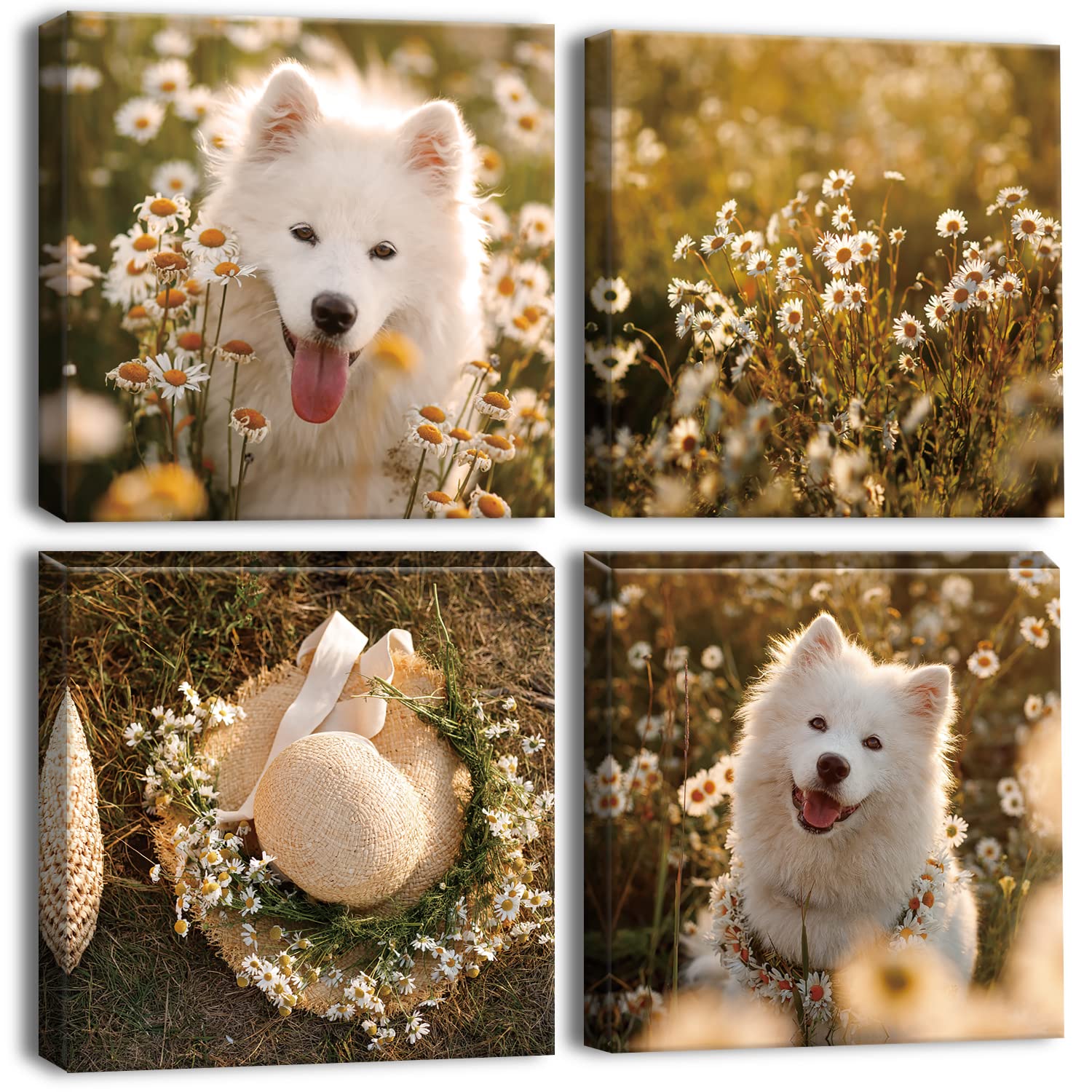 Artscope 4 Pieces Wall Art Canvas Prints - Dog and Flowers Picture Painting - Modern Wall Artwork Framed for Gifts Bathroom Home Kitchen Office Decor - 30 x 30 CM