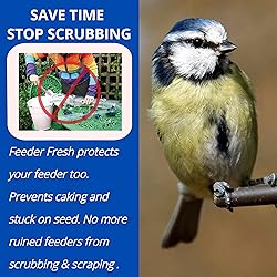 Sapphire Labs Feeder Fresh Bird Feeder and Seed