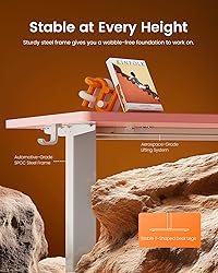 ErGear Height Adjustable Electric Standing Desk, 55