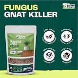 Bloom & Bud Fungus Gnat Killer 1 Litre Indoor Plant Protector Gravel Topper view 3