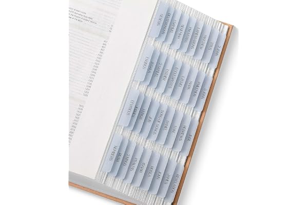 Mr. Pen- Bible Tabs, 75 Tabs, Transparent Dusty Blue Laminated Bible Tabs for Women and Men, Bible Tabs for Study Bible Index