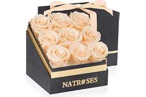 NATROSES Forever Preserved Roses in a Box, 100% Real Roses That Last Up to 3 Years, Flowers for Delivery Prime Birthday, Valentines Day Gifts for Her, Birthday Gifts (Buttermilk)