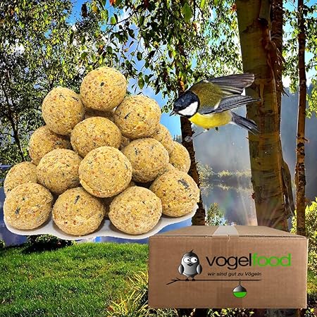 200 Stück ohne Netz Meisenknödel 4 Jahrenszeiten Vogelfutter Wildvogelfutter Ganzjahresfutter Versand mit DHL
