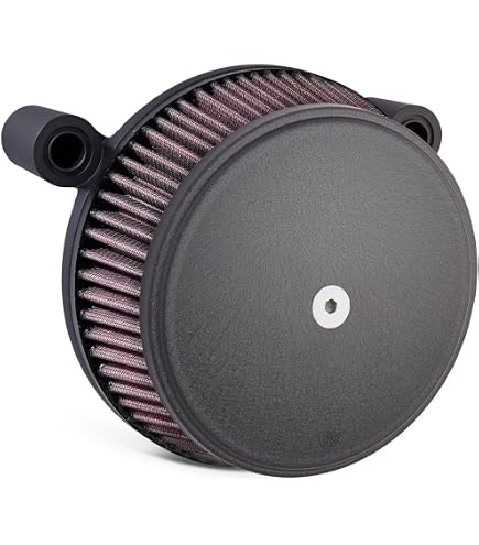 Amazon.com: Arlen Ness Black Finish Stage I Big Sucker Kit with