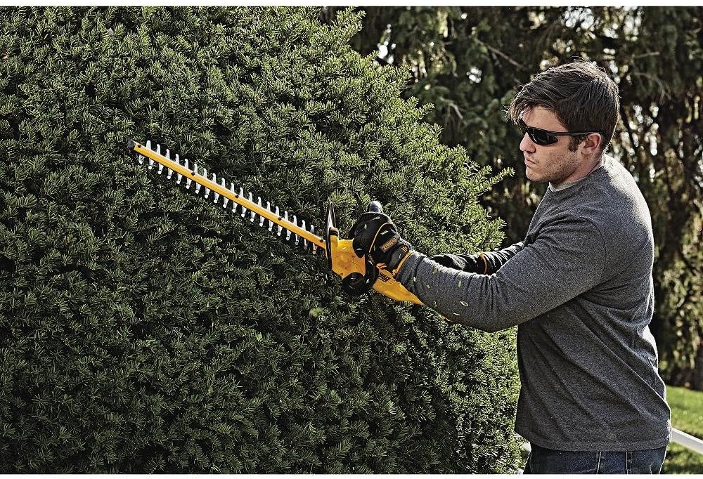 dewalt cordless hedge trimmer 20v