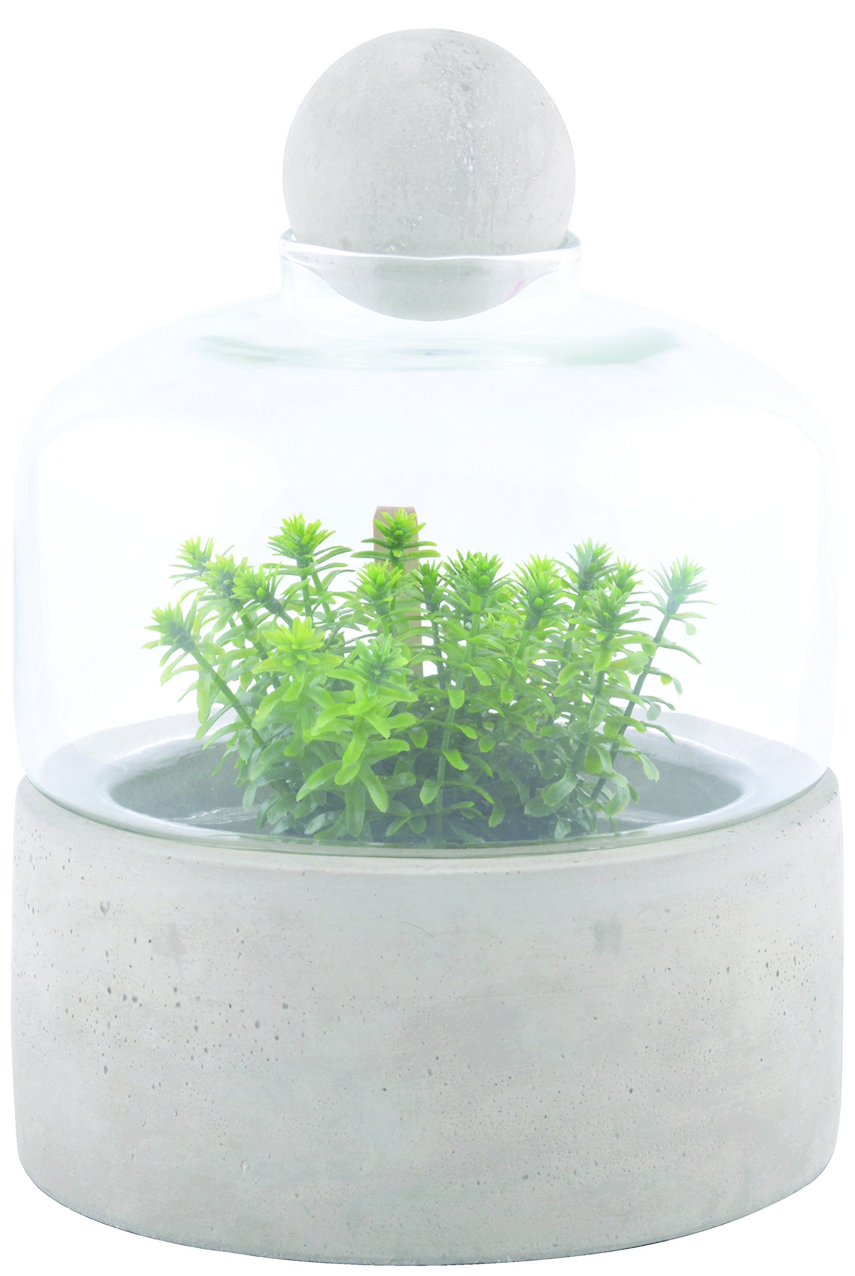 Esschert Design AGG43 Bottle Terrarium Planter with Concrete Base, Small, White