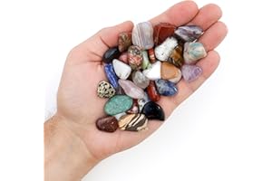 DANCING BEAR 5 Pounds Tumbled Polished Natural Gem Stones + Educational Color ID Sheet & 24 Page Rock & Mineral Book. Average Stone Size ¾ inch. Choose 1, 2, 5, 10 or 20 Pounds Brand