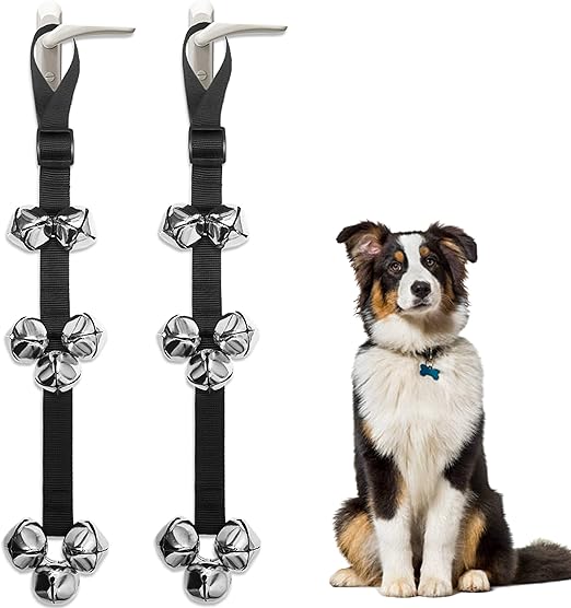 train dog to ring bell