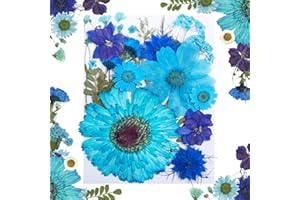 MUCBAFLY Dried Pressed Flowers for Resin, Real Pressed Flowers Dry Leaves Bulk Natural Herbs Kit for Scrapbooking DIY Art Crafts, Nails Décor, Epoxy Resin Jewelry, Candle, Soap Making (Blue)