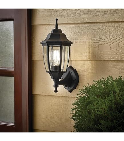 Hampton Bay Lighting 14.5 in. Black Dusk to Dawn Decorative