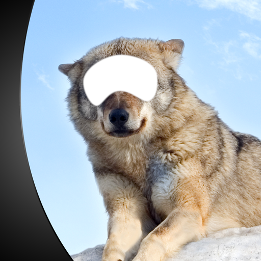 Animal Photo Montage